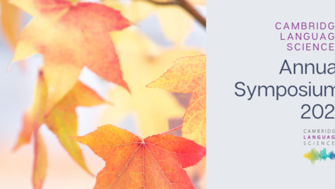 Photo of autumn leaves