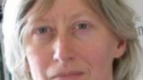 Ann Copestake