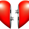 image of two halves of a heart shape connected by usbs