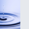 Language Sciences Impact Fund logo