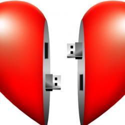 image of two halves of a heart shape connected by usbs