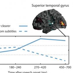 Making sense of noisy speech