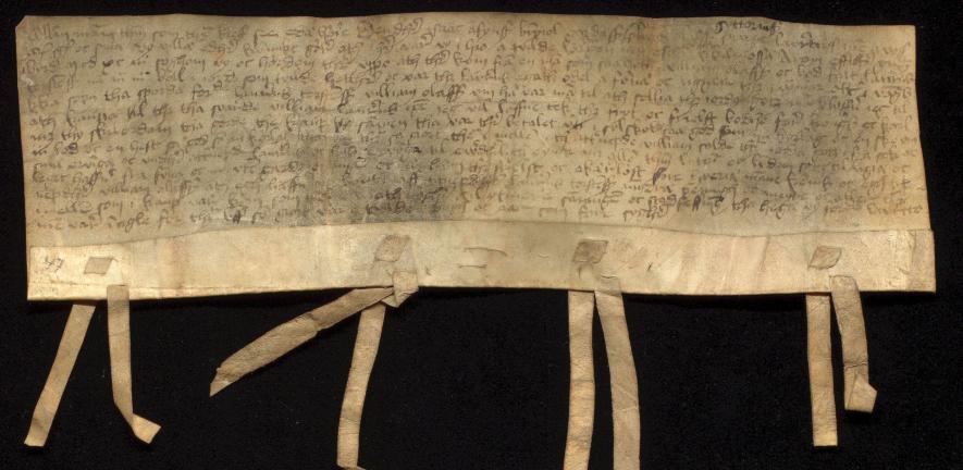 Photo of medieval Norwegian charter from the corpus Tamsin works on: image credit Ola Søndenå of Universitetsbiblioteket i Bergen 