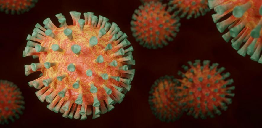 Image of virus cells