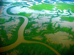 Mitchell river delta, feral arts on Flickr