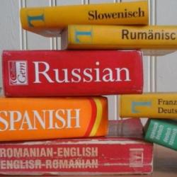 Language dictionaries  Credit: Tessakay via Pixabay