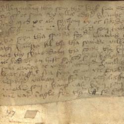 Photo of medieval Norwegian charter from the corpus Tamsin works on: image credit Ola Søndenå of Universitetsbiblioteket i Bergen 