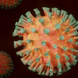 Image of virus cells